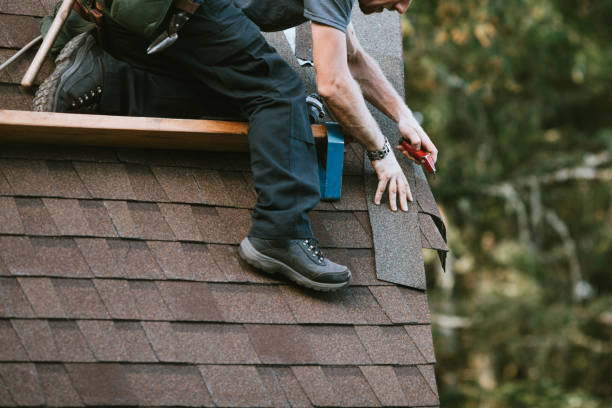 Best Storm Damage Roof Repair  in Montpelier, OH